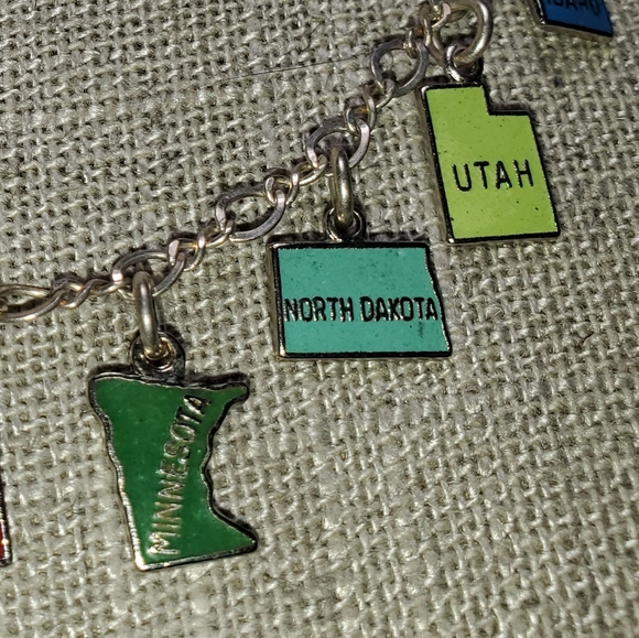 Mango Tango Silver State charm Necklace - Picture 4 of 4